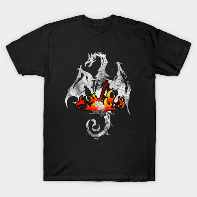 Now Only Ashes Remain T-Shirt by LoneVoiceDesigns